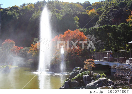 勝尾寺・11月【大阪府箕面市/西国三十三所第23番札所】 勝尾寺・11月【大阪府箕面市/西国三十三所第23番札所】 109074807