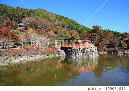 勝尾寺・11月【大阪府箕面市/西国三十三所第23番札所】 勝尾寺・11月【大阪府箕面市/西国三十三所第23番札所】 109074812
