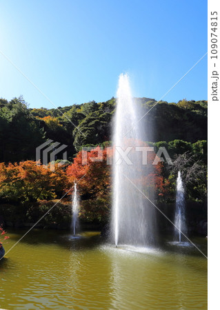 勝尾寺・11月【大阪府箕面市/西国三十三所第23番札所】 勝尾寺・11月【大阪府箕面市/西国三十三所第23番札所】 109074815