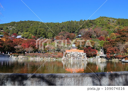 勝尾寺・11月【大阪府箕面市／西国三十三所第23番札所】 109074816