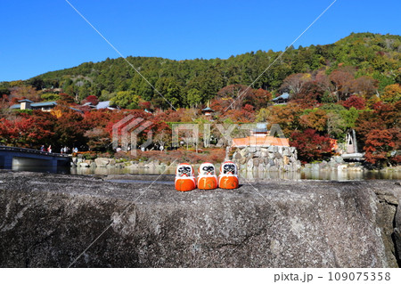 勝尾寺の勝ちダルマ・11月【大阪府箕面市／西国三十三所第23番札所】 109075358