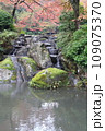 福井県鯖江市　西山公園の池 109075370