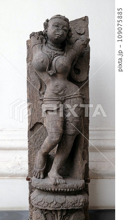Salabhanjika, from 13th century found in Khondalite Konark, Odisha now exposed in the Indian Museum in Kolkata, West Bengal, India 109075885