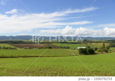 北海道 美瑛の「三愛の丘展望公園」から見える景色 北海道 美瑛の「三愛の丘展望公園」から見える景色 109076258