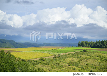 北海道 美瑛の「三愛の丘展望公園」から見える景色 109076276