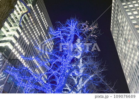 さっぽろホワイトイルミネーション 赤レンガ広場 札幌市中央区 ライトアップ さっぽろホワイトイルミネーション 赤レンガ広場 札幌市中央区 ライトアップ 109076689