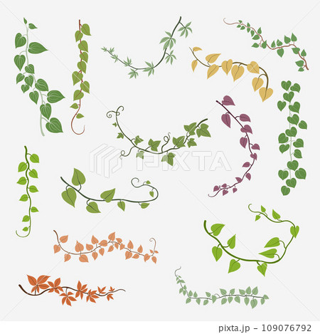 Floral ivy drawing decorative ornament flat design collection. 109076792