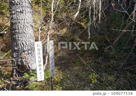 北海道大分水点登山口 北海道大分水点登山口 109077539