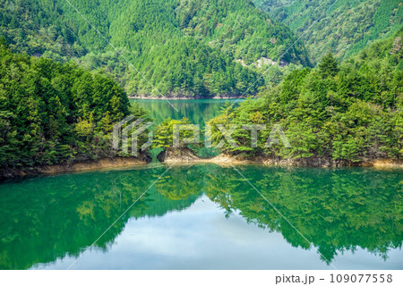 神秘的な湖「東仙狭金山湖」 神秘的な湖「東仙狭金山湖」 109077558