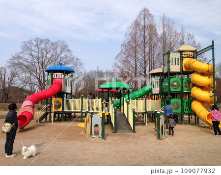 公園にある大きな遊具で遊ぶ親子連れと犬 109077932