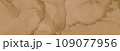 Abstract Coffee Paint. Grunge Brown Banner. Aged 109077956