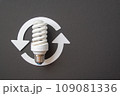 Energy saving light bulb on a black background 109081336