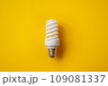 Energy saving light bulb on a orange background 109081337