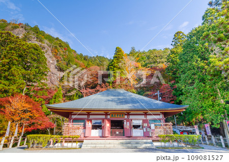 秋の鳳来寺 本堂(東海自然歩道) 秋の鳳来寺 本堂(東海自然歩道) 109081527