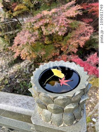 紅葉に彩られた石灯籠とお地蔵さん 紅葉に彩られた石灯籠とお地蔵さん 109081749