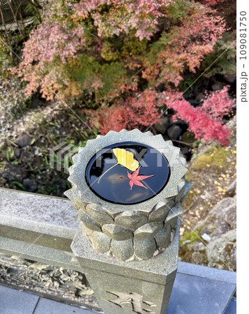 紅葉に彩られた石灯籠 紅葉に彩られた石灯籠 109081750