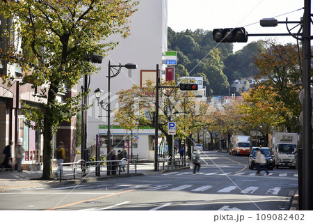 晩秋のさくら通り 109082402