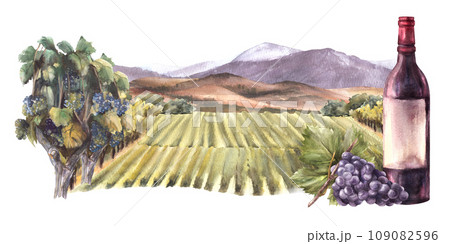 Watercolor wine label. Bottle of red wine with...のイラスト素材 [109082596] - PIXTA