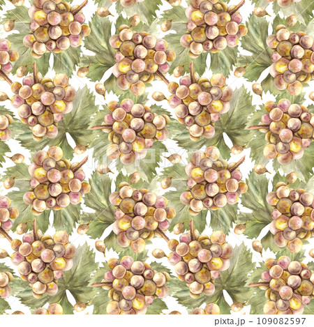 Watercolor seamless pattern. Bunch of green yellow grapes, leaves and grape berry. Grapevine hand painted. Wrapping paper, labels, fabric print. Botanical illustration isolated on white background.  109082597