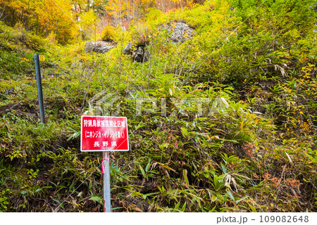 狩猟鳥獣捕獲禁止区域【中房渓谷】 109082648