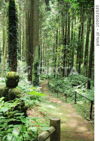 山の上から眺める黒川洞穴の遊歩道 山の上から眺める黒川洞穴の遊歩道 109082685