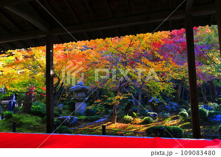 【京都府】圓光寺の額縁庭園の紅葉(十牛之庭) 【京都府】圓光寺の額縁庭園の紅葉(十牛之庭) 109083480