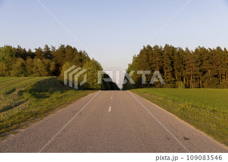 paved road in the spring season during sunset paved road in the spring season during sunset 109083546
