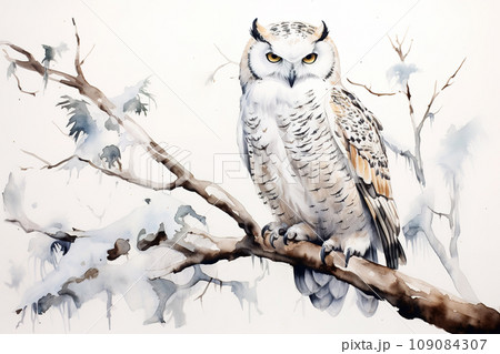 Image of snowy owl perched on a tree branch. Birds. Wildlife Animals. Image of snowy owl perched on a tree branch. Birds. Wildlife Animals. 109084307