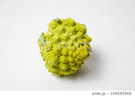 世界一美しい野菜と言われるロマネスコ 世界一美しい野菜と言われるロマネスコ 109085666