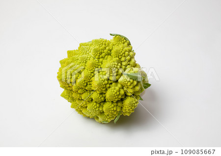 世界一美しい野菜と言われるロマネスコ 109085667