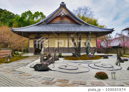 圓光寺　奔龍庭（京都市左京区） 109085974