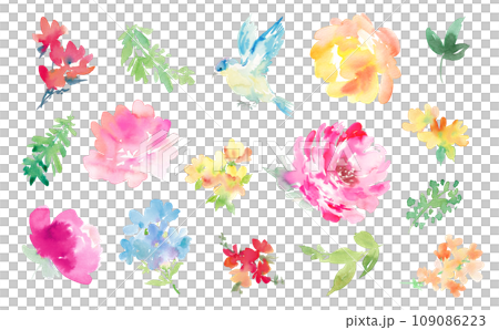 Illustration material set for background of abstract peony and flowers painted in watercolor 109086223
