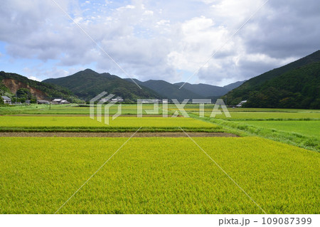 長崎県五島市白石湾の風景(2022年) 長崎県五島市白石湾の風景(2022年) 109087399