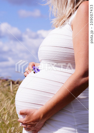 Gentle curvature of expectant mother's abdomen, her hands holding a small, vibrant blue flower. Golden wheat field under the open sky in background, life continuous growth and natural cycles concept 109087433