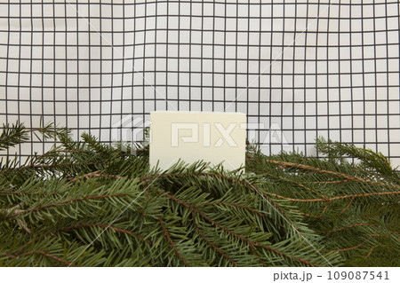 cube among fir branches on a grid background cube among fir branches on a grid background 109087541