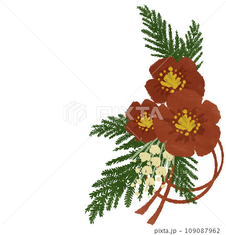 赤色のお花 赤色のお花 109087962
