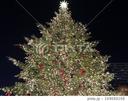 大きなクリスマスツリーとイルミネーション 109088108
