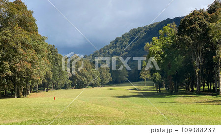 Beautyful green landscape of Handara at sunny day Beautyful green landscape of Handara at sunny day 109088237