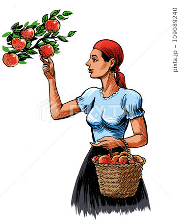 Woman picking apples from the tree. Hand-drawn illustration Woman picking apples from the tree. Hand-drawn illustration 109089240