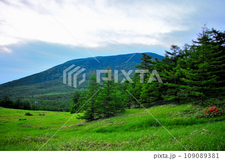 高峰高原 高峰温泉から見た水ノ塔山 東篭ノ塔山 高峰高原 高峰温泉から見た水ノ塔山 東篭ノ塔山 109089381