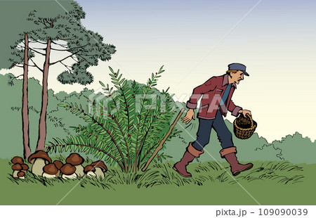 Vector drawing. Man picking mushrooms in the forest Vector drawing. Man picking mushrooms in the forest 109090039