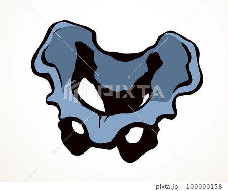Vector drawing. Pelvic bones icon 109090158