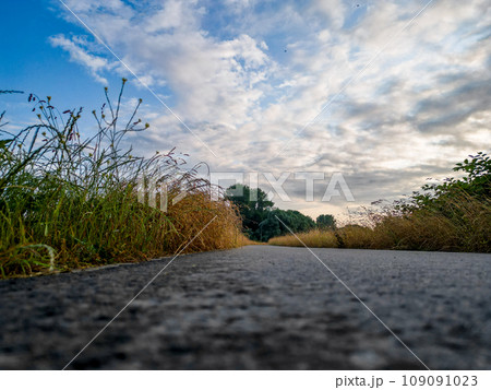 Road to the Skies: Low Perspective of a Countryside Path 109091023