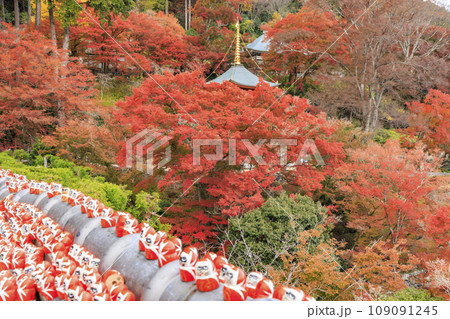 紅葉見頃な勝尾寺 109091245