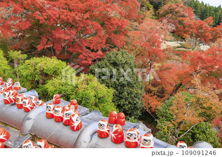 紅葉見頃な勝尾寺 109091246