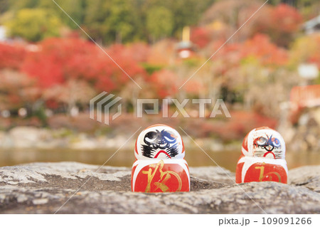 紅葉見頃な勝尾寺 紅葉見頃な勝尾寺 109091266