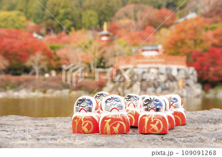 紅葉見頃な勝尾寺 紅葉見頃な勝尾寺 109091268