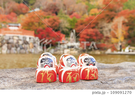 紅葉見頃な勝尾寺 109091270