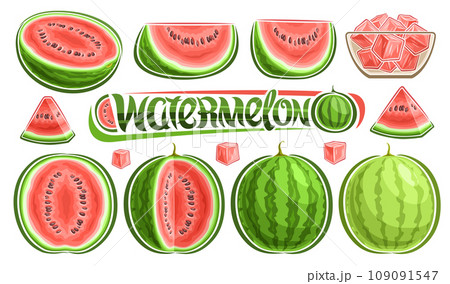Vector Watermelon Set 109091547