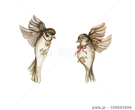 Watercolor bird sparrows. Hand drawn watercolor elements. Perfect for wedding invitation, greetings card, posters, party decoration. Watercolor bird sparrows. Hand drawn watercolor elements. Perfect for wedding invitation, greetings card, posters, party decoration. 109093006